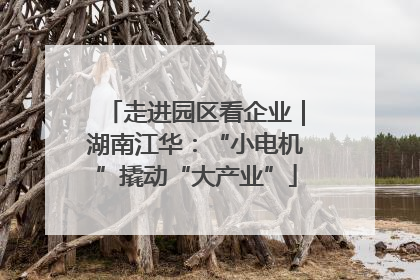 走进园区看企业｜湖南江华：“小电机”撬动“大产业”